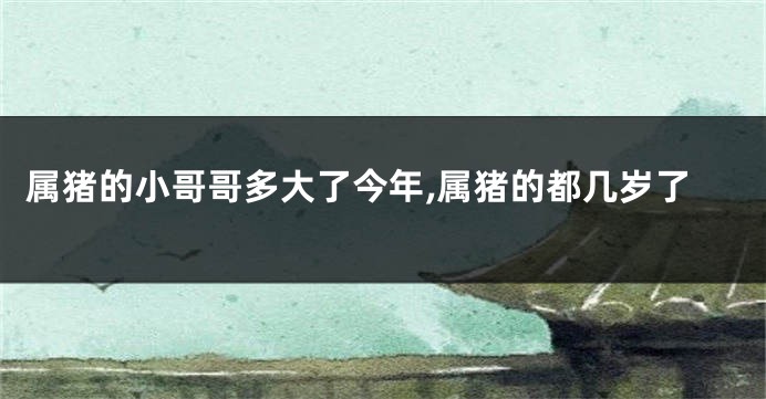 属猪的小哥哥多大了今年,属猪的都几岁了