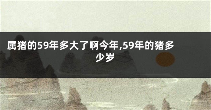 属猪的59年多大了啊今年,59年的猪多少岁