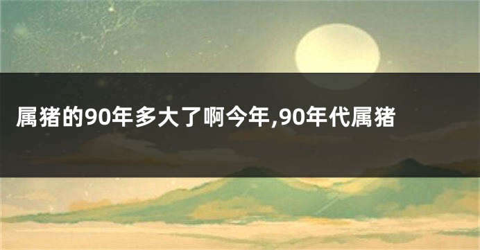 属猪的90年多大了啊今年,90年代属猪