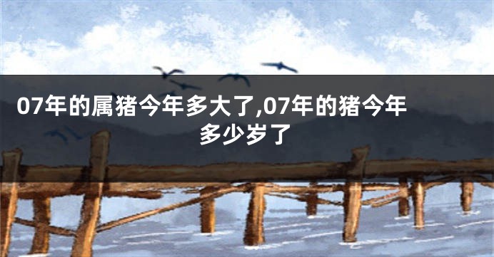 07年的属猪今年多大了,07年的猪今年多少岁了