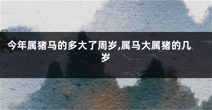 今年属猪马的多大了周岁,属马大属猪的几岁