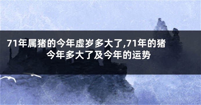 71年属猪的今年虚岁多大了,71年的猪今年多大了及今年的运势