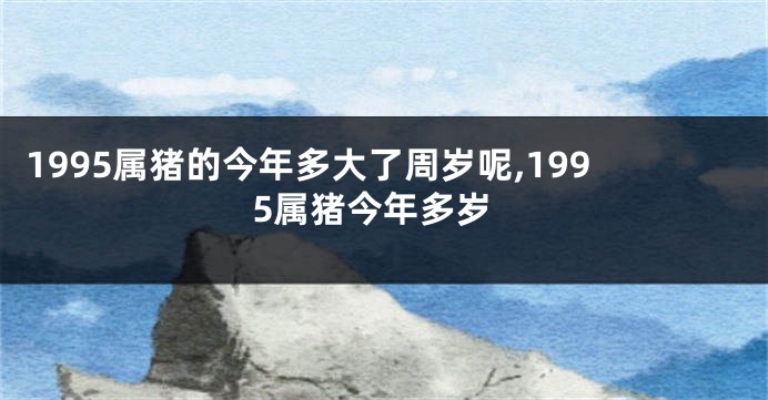 1995属猪的今年多大了周岁呢,1995属猪今年多岁