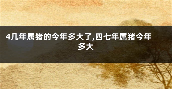 4几年属猪的今年多大了,四七年属猪今年多大