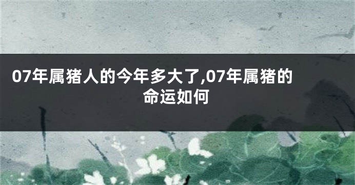 07年属猪人的今年多大了,07年属猪的命运如何