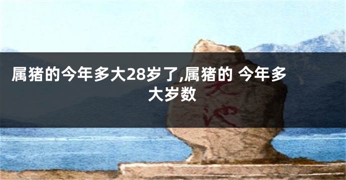 属猪的今年多大28岁了,属猪的 今年多大岁数