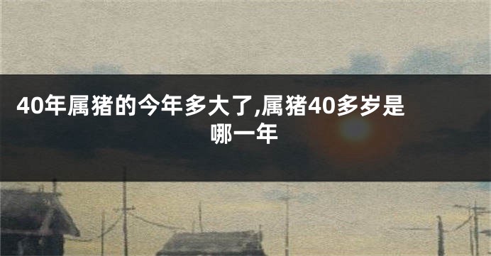 40年属猪的今年多大了,属猪40多岁是哪一年