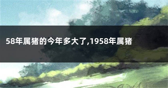 58年属猪的今年多大了,1958年属猪