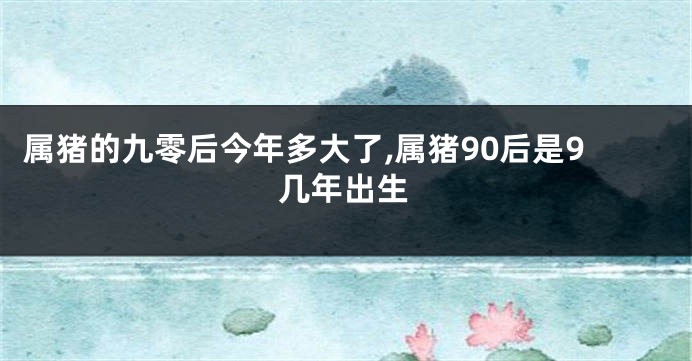 属猪的九零后今年多大了,属猪90后是9几年出生