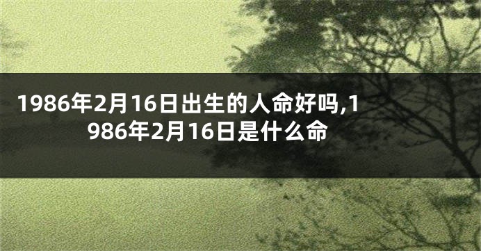 1986年2月16日出生的人命好吗,1986年2月16日是什么命