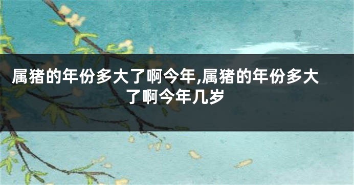 属猪的年份多大了啊今年,属猪的年份多大了啊今年几岁