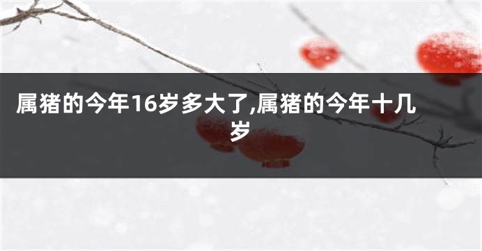 属猪的今年16岁多大了,属猪的今年十几岁