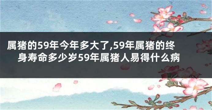 属猪的59年今年多大了,59年属猪的终身寿命多少岁59年属猪人易得什么病