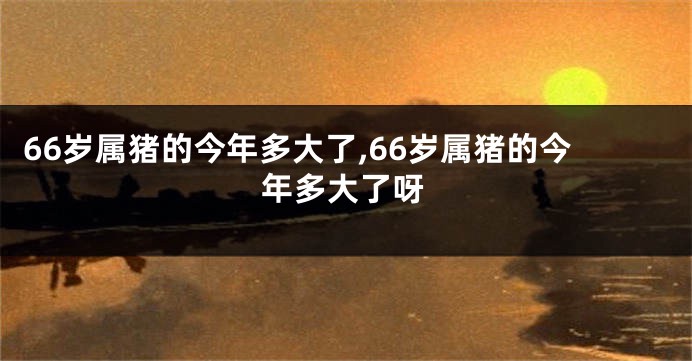 66岁属猪的今年多大了,66岁属猪的今年多大了呀