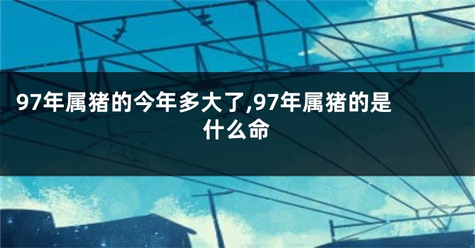 97年属猪的今年多大了,97年属猪的是什么命