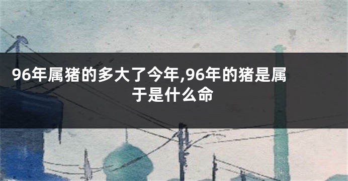 96年属猪的多大了今年,96年的猪是属于是什么命