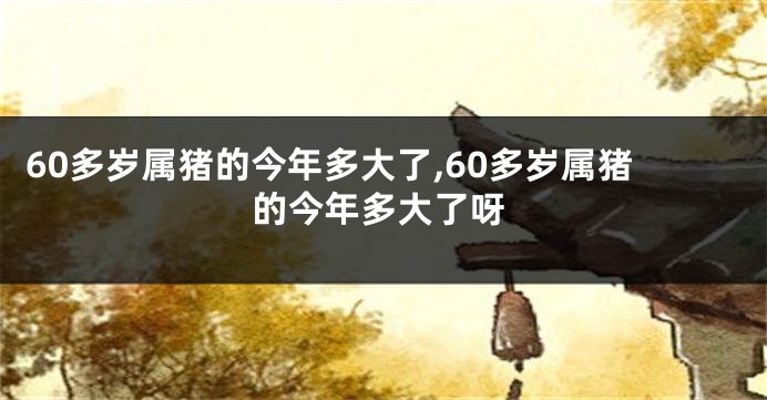 60多岁属猪的今年多大了,60多岁属猪的今年多大了呀