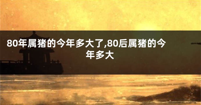 80年属猪的今年多大了,80后属猪的今年多大