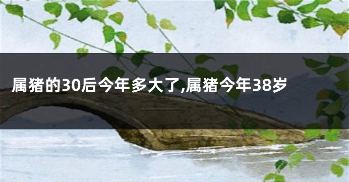 属猪的30后今年多大了,属猪今年38岁