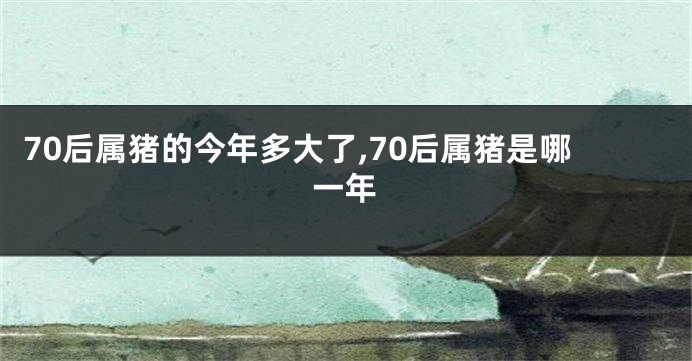 70后属猪的今年多大了,70后属猪是哪一年