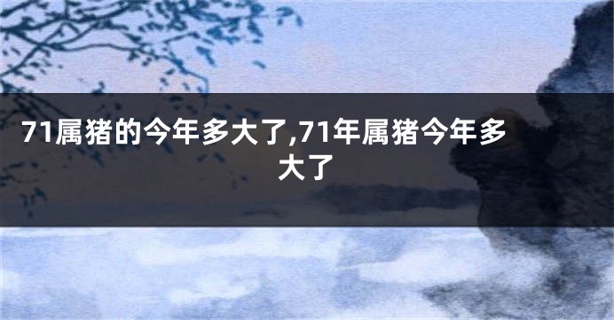 71属猪的今年多大了,71年属猪今年多大了