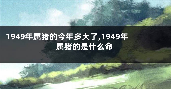 1949年属猪的今年多大了,1949年属猪的是什么命