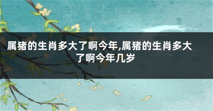 属猪的生肖多大了啊今年,属猪的生肖多大了啊今年几岁