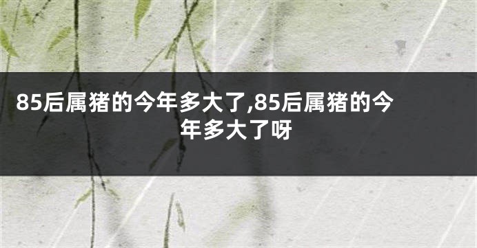 85后属猪的今年多大了,85后属猪的今年多大了呀