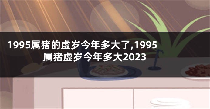 1995属猪的虚岁今年多大了,1995属猪虚岁今年多大2023