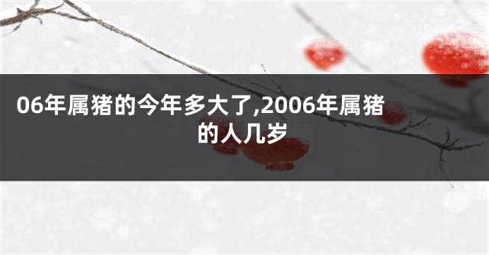 06年属猪的今年多大了,2006年属猪的人几岁