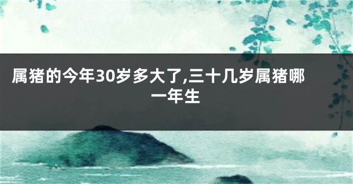 属猪的今年30岁多大了,三十几岁属猪哪一年生