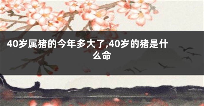 40岁属猪的今年多大了,40岁的猪是什么命