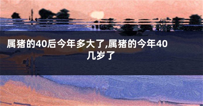 属猪的40后今年多大了,属猪的今年40几岁了