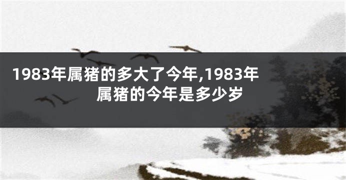 1983年属猪的多大了今年,1983年属猪的今年是多少岁