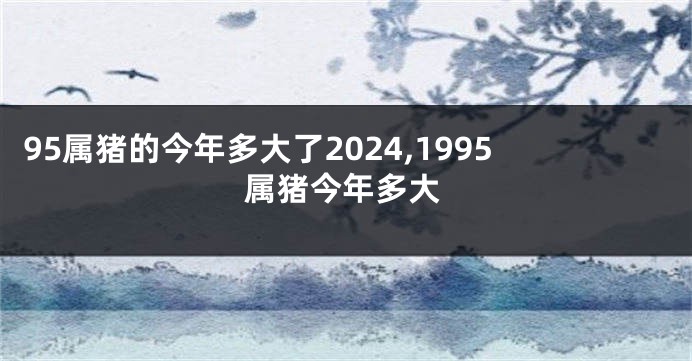 95属猪的今年多大了2024,1995属猪今年多大