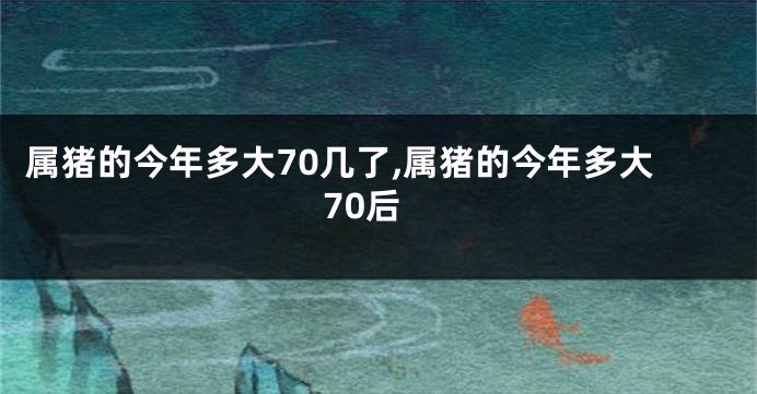 属猪的今年多大70几了,属猪的今年多大70后