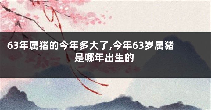 63年属猪的今年多大了,今年63岁属猪是哪年出生的