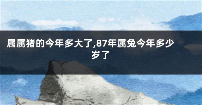 属属猪的今年多大了,87年属兔今年多少岁了