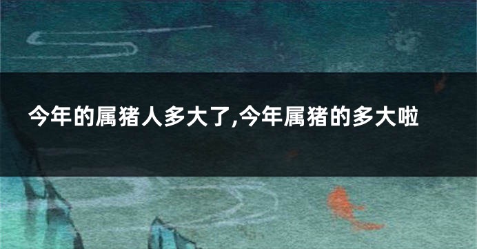 今年的属猪人多大了,今年属猪的多大啦