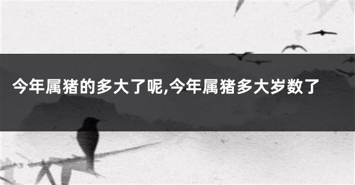 今年属猪的多大了呢,今年属猪多大岁数了