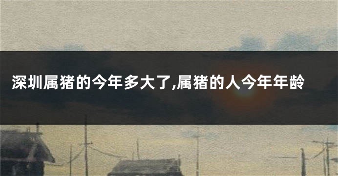 深圳属猪的今年多大了,属猪的人今年年龄