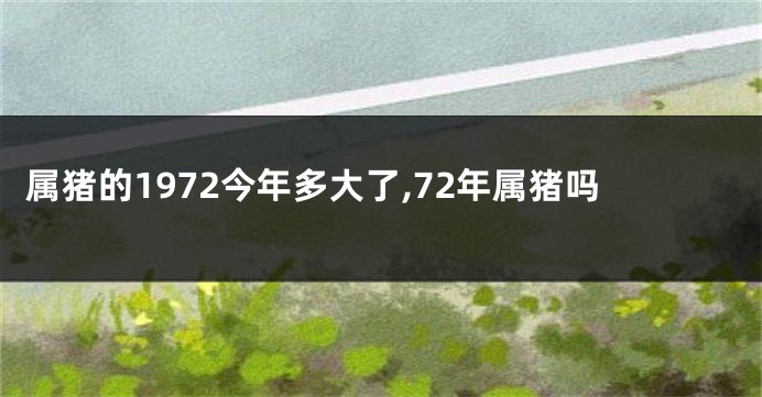 属猪的1972今年多大了,72年属猪吗