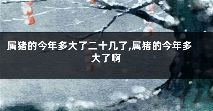 属猪的今年多大了二十几了,属猪的今年多大了啊