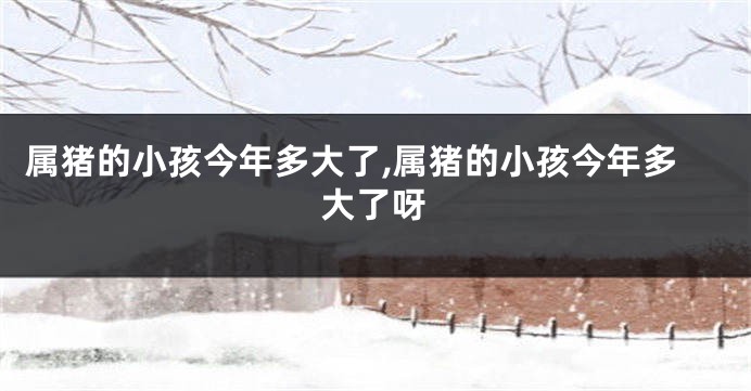 属猪的小孩今年多大了,属猪的小孩今年多大了呀