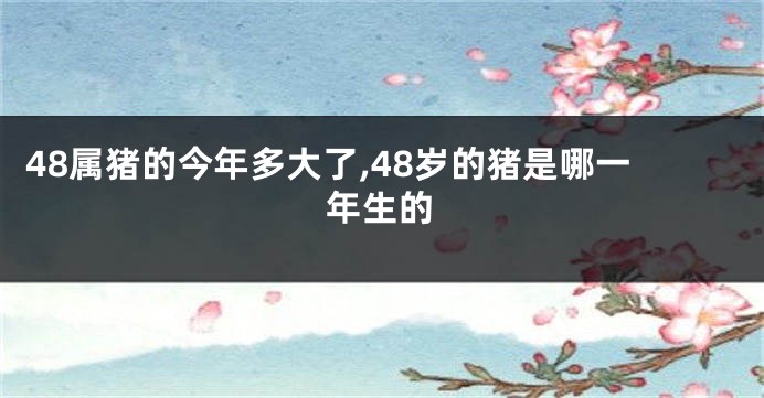 48属猪的今年多大了,48岁的猪是哪一年生的