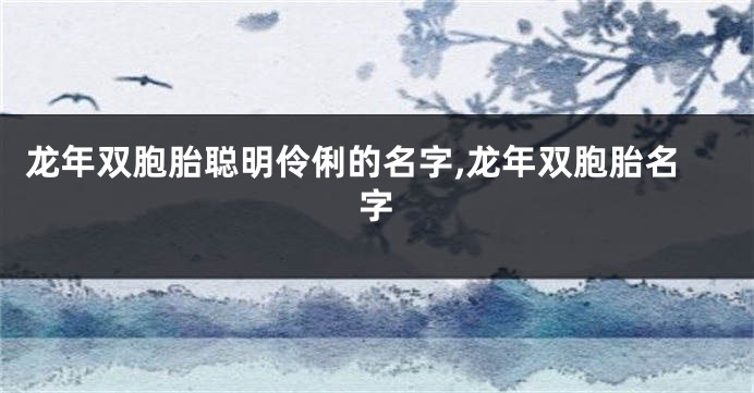 龙年双胞胎聪明伶俐的名字,龙年双胞胎名字