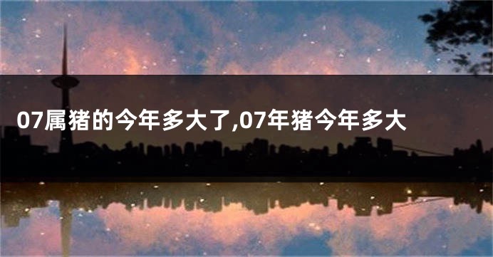 07属猪的今年多大了,07年猪今年多大