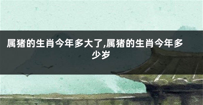 属猪的生肖今年多大了,属猪的生肖今年多少岁