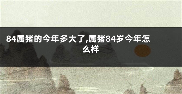 84属猪的今年多大了,属猪84岁今年怎么样