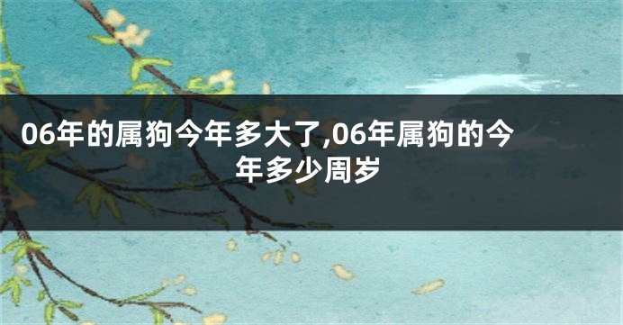 06年的属狗今年多大了,06年属狗的今年多少周岁